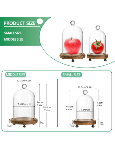 Pack 2 Campanas de Vidrio con Base de Madera - ZEERSHEE