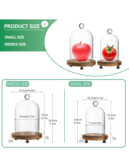 Pack 2 Campanas de Vidrio con Base de Madera - ZEERSHEE