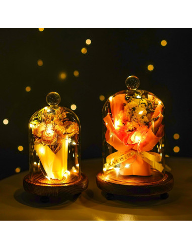 Pack 2 Campanas de Vidrio con Base de Madera - ZEERSHEE