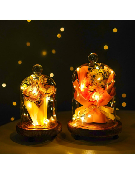 Pack 2 Campanas de Vidrio con Base de Madera - ZEERSHEE