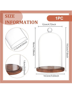 Campana de Vidrio BENECREAT 14.3x19.3cm con Base de Madera 2