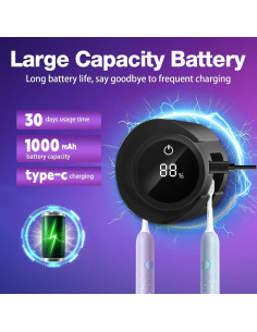 Desinfectante de Cepillos de Dientes Lvseeman Negro con LED 2