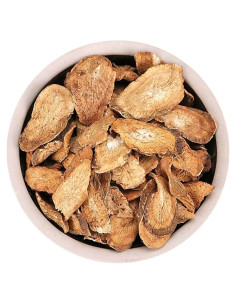 Raíz de Bardana Orgánica 250 g - Té Natural de Arctium Lappa