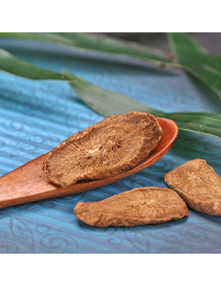 Raíz de Bardana Orgánica 250 g - Té Natural de Arctium Lappa