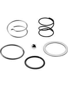 Kit de Resorte con Bola de Acero DEWALT DCF885 DCF886 DCF805 - 4 Paquetes 2