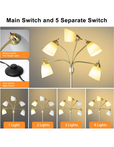 Lámpara de Pie DINGLILIGHTING 5 Luces Dorada Ajustable