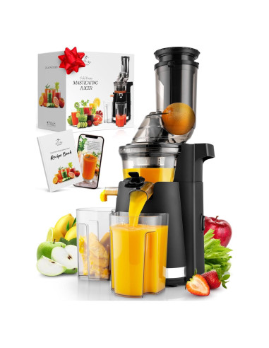 Extractor de Jugo Masticador Zulay 250W 800ml Negro