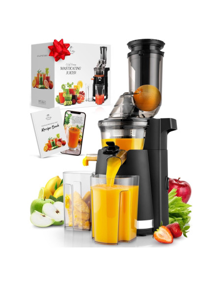 Extractor de Jugo Masticador Zulay 250W 800ml Negro