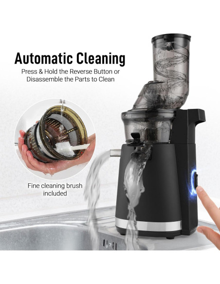 Extractor de Jugo Masticador Zulay 250W 800ml Negro