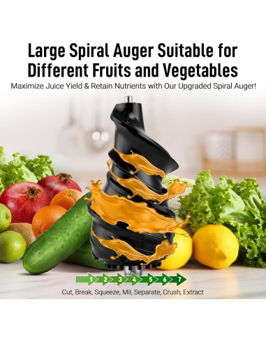 Extractor de Jugo Masticador Zulay 250W 800ml Negro