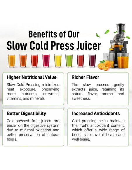 Extractor de Jugo Masticador Zulay 250W 800ml Negro