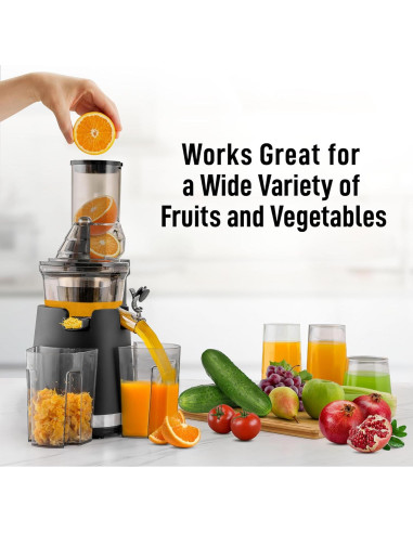 Extractor de Jugo Masticador Zulay 250W 800ml Negro