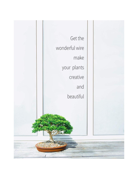Kit Alambre para Bonsai MoHern 152 Pies 6 Tamaños Aluminio
