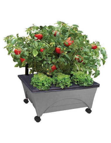 Caja de Cultivo Elevada Emsco City Picker - Autorriego