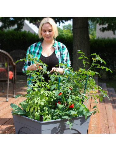 Caja de Cultivo Elevada Emsco City Picker - Autorriego