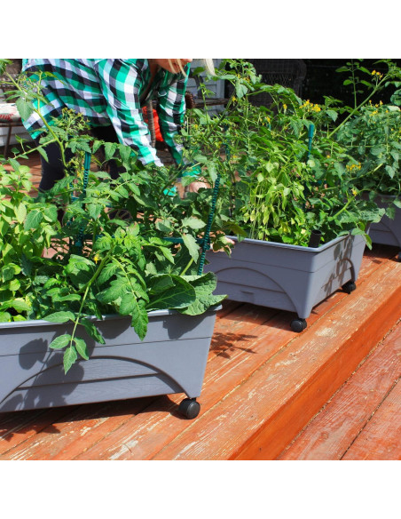 Caja de Cultivo Elevada Emsco City Picker - Autorriego