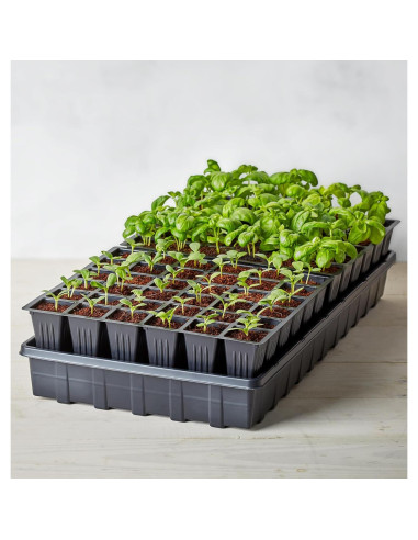 Bandeja de Inicio de Semillas Autorriego Burpee 72 Celdas