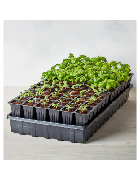 Bandeja de Inicio de Semillas Autorriego Burpee 72 Celdas