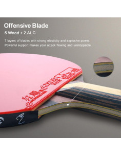 Raqueta de Tenis de Mesa DHS 9 Star 9002/9006 Profesional 5+2 Madera 2