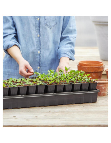 Bandeja de Inicio de Semillas Autorriego Burpee 72 Celdas