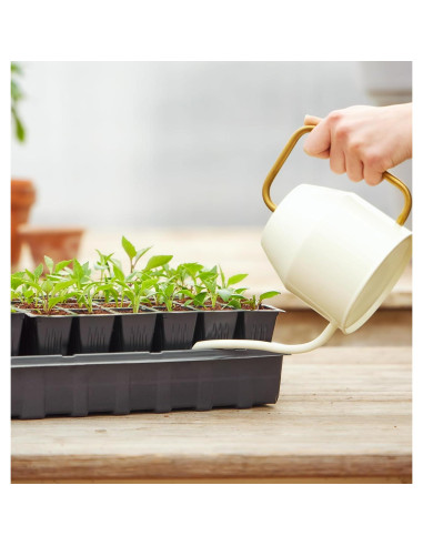 Bandeja de Inicio de Semillas Autorriego Burpee 72 Celdas