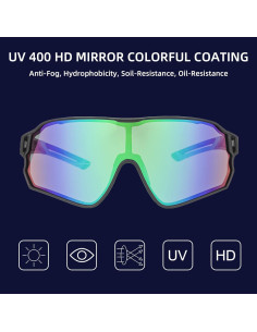 Gafas de sol ROCKBROS Sp179 polarizadas UV400 ciclismo 2