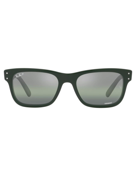 Gafas de sol Ray-Ban RB2283 Mr. Burbank Polarizadas