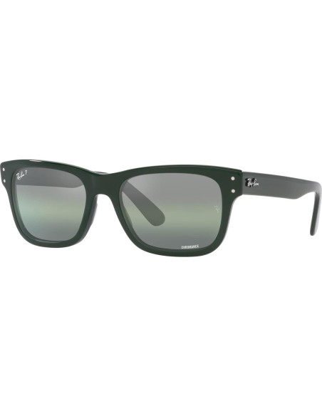 Gafas de sol Ray-Ban RB2283 Mr. Burbank Polarizadas