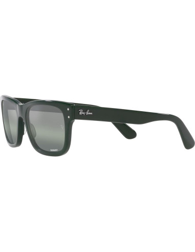 Gafas de sol Ray-Ban RB2283 Mr. Burbank Polarizadas