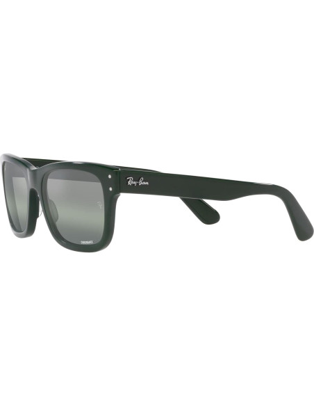 Gafas de sol Ray-Ban RB2283 Mr. Burbank Polarizadas