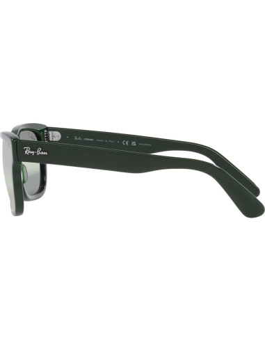 Gafas de sol Ray-Ban RB2283 Mr. Burbank Polarizadas