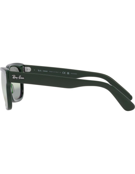 Gafas de sol Ray-Ban RB2283 Mr. Burbank Polarizadas