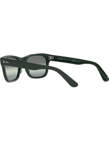 Gafas de sol Ray-Ban RB2283 Mr. Burbank Polarizadas