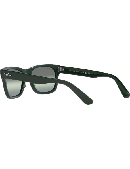 Gafas de sol Ray-Ban RB2283 Mr. Burbank Polarizadas