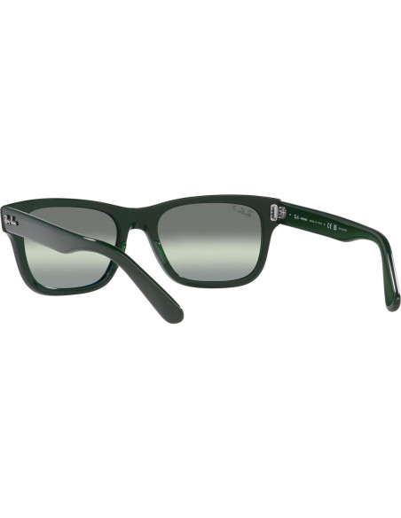 Gafas de sol Ray-Ban RB2283 Mr. Burbank Polarizadas
