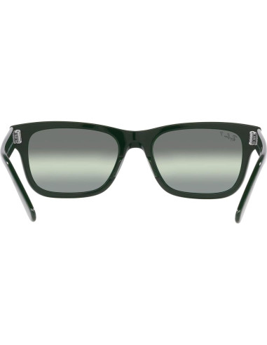 Gafas de sol Ray-Ban RB2283 Mr. Burbank Polarizadas