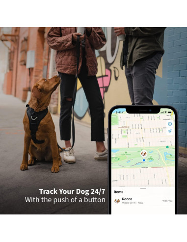 Soporte de Collar para Perros SKER AirTag IP68 Resistente al Agua