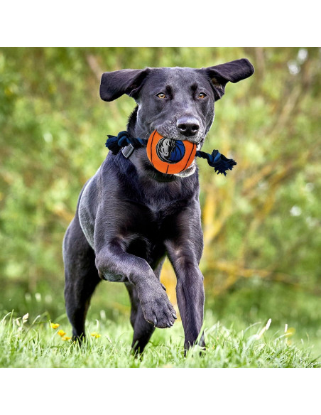 Juguete para mascotas NBA Dallas Mavericks con cuerda y squeaker