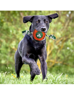 Juguete para mascotas NBA Boston Celtics - Baloncesto con cuerda 2