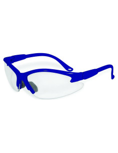 Gafas de Seguridad SSP Eyewear Antivaho Azul 24x15cm