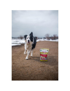 Comida para Perros Cruda Liofilizada Tender & True 0.45 kg 2