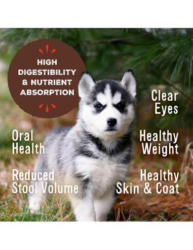 Comida para Perros Cachorros Primal 200g Pollo y Salmón