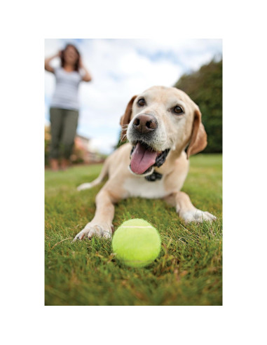 Cerca Subterránea para Mascotas PetSafe PIG00-13661 152,4m