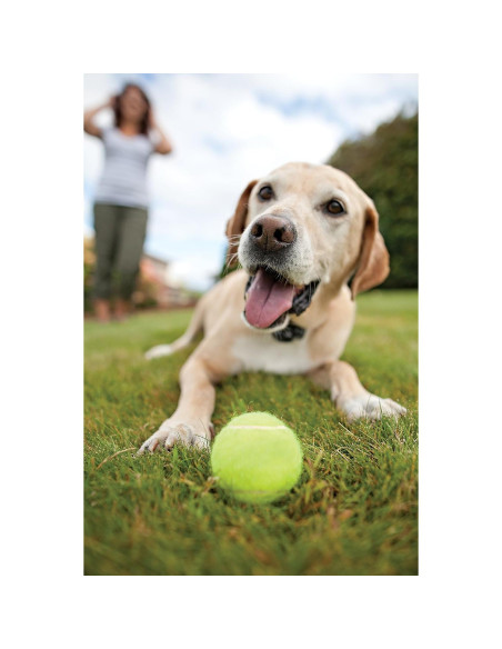 Cerca Subterránea para Mascotas PetSafe PIG00-13661 152,4m