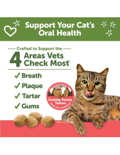 Golosinas Dentales para Gatos WHIMZEES Pollo y Salmón 127g 2