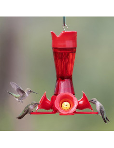 Alimentador de Colibríes Perky-Pet 203CPBR Vidrio Rojo 236.6 ml 2