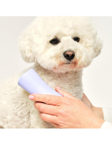 Cepillo Desenredante Pequeño Tangle Teezer Lila y Amarillo