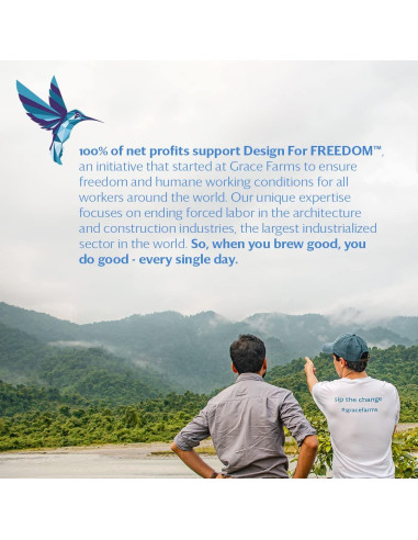 Té Orgánico BREATHE Wellness Grace Farms - Cúrcuma y Jengibre 16 Bolsitas