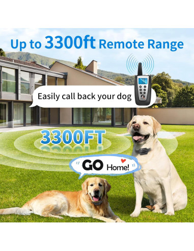 Collar Antibark y Entrenamiento PaiPaitek 2 en 1 - 1000m