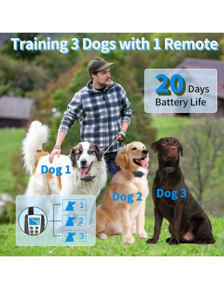 Collar Antibark y Entrenamiento PaiPaitek 2 en 1 - 1000m